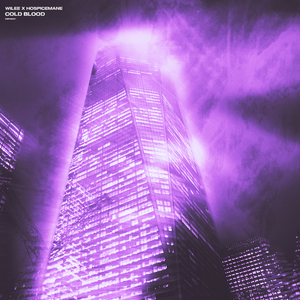 www成人🔞色情美女视频免费
