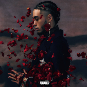 www成人🔞色情美女视频免费
